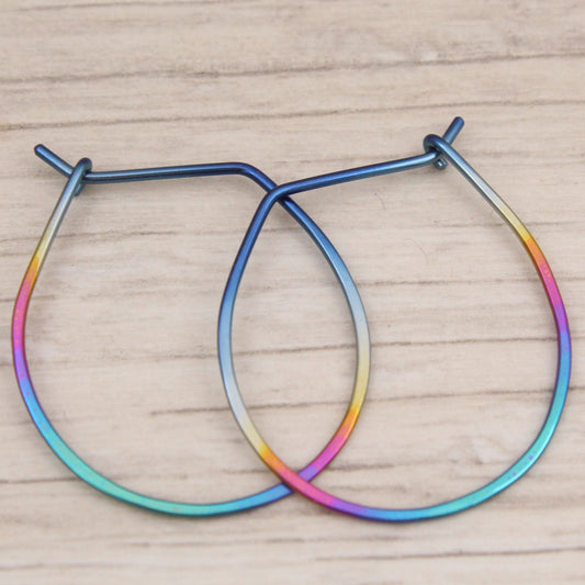 #3129 Rainbow Niobium Wide Hoops