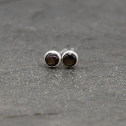 #3081 Small Black Star Sapphire Stud Earrings