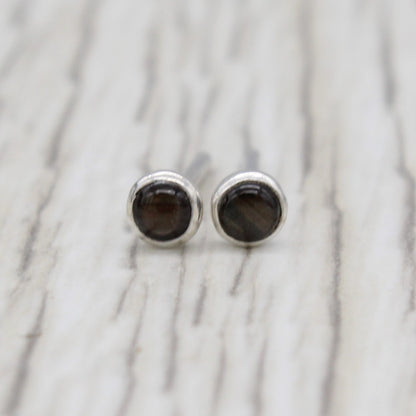 #3081 Small Black Star Sapphire Stud Earrings